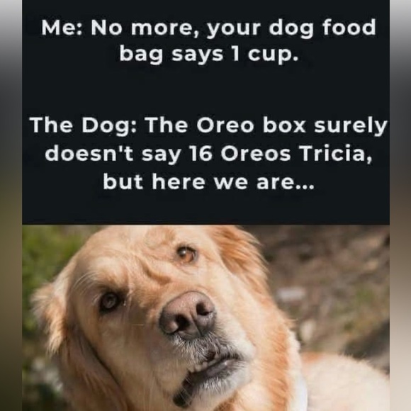 Get $10, use my code to join Poshmark - Picture 3 of 10